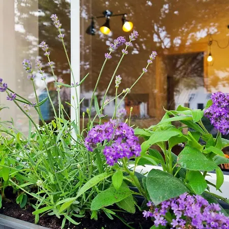 Kerbholz - Zwischen Südschwarzwald Und Schweiz